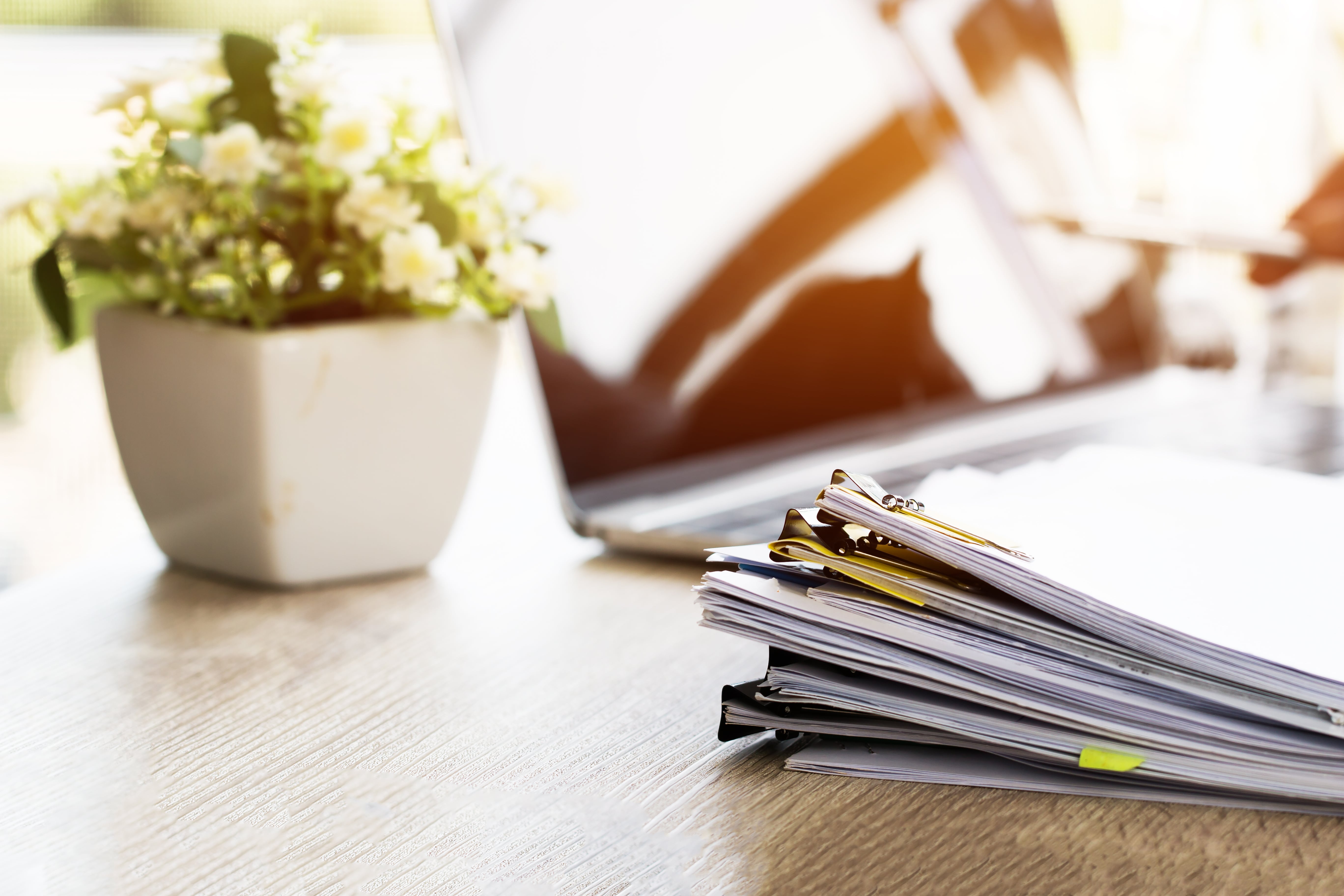 stacks of files with plant