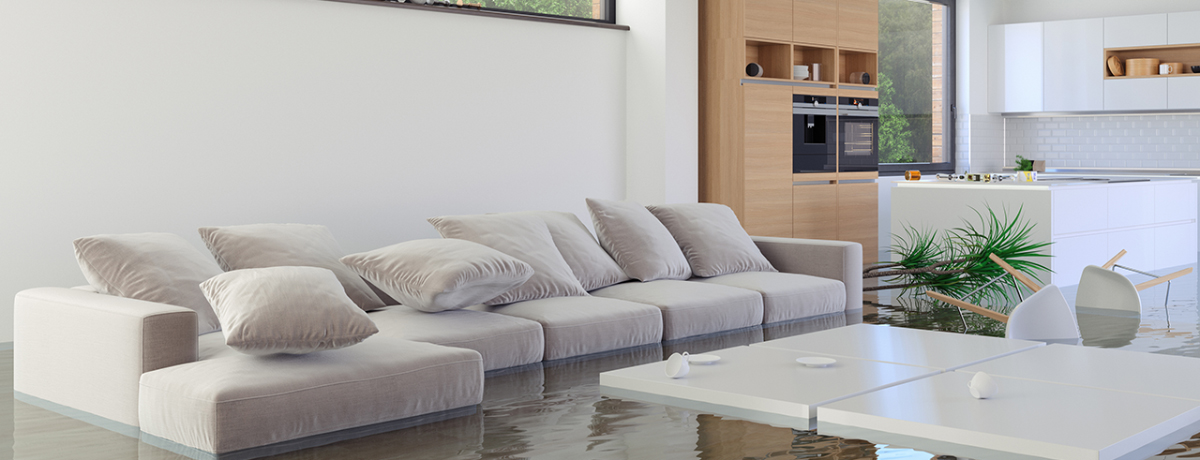 flooding living room