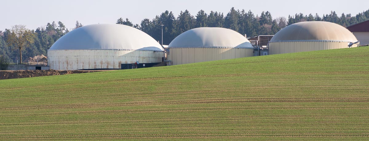 white dome