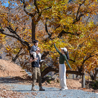 family of three in fall season