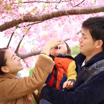family of three in japan spring season